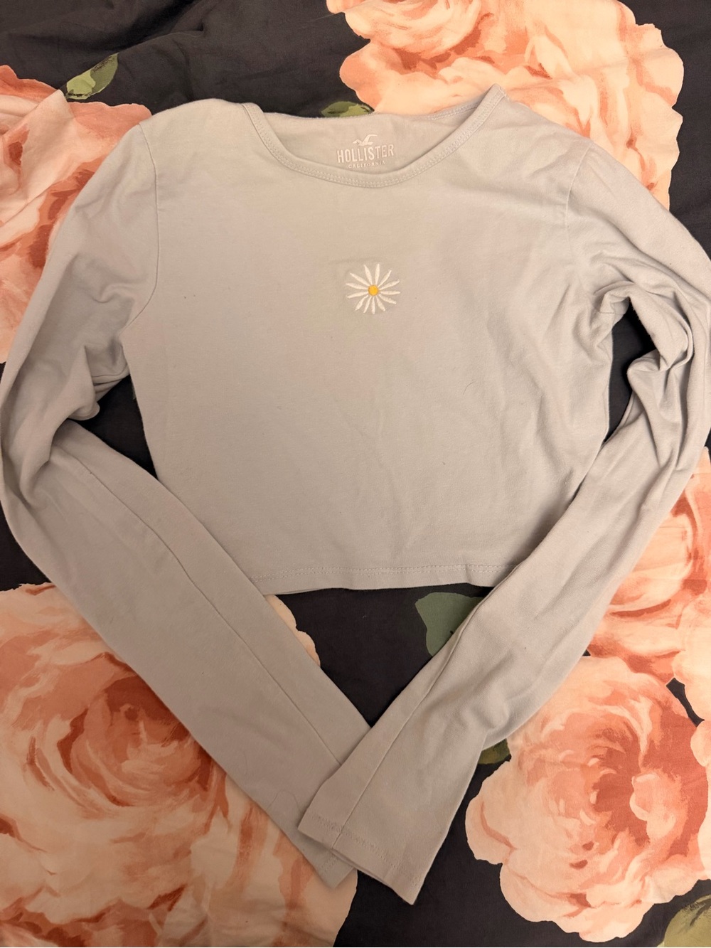 Hollister Light Blue Daisy Embroidered Crop Long-Sleeve Top
